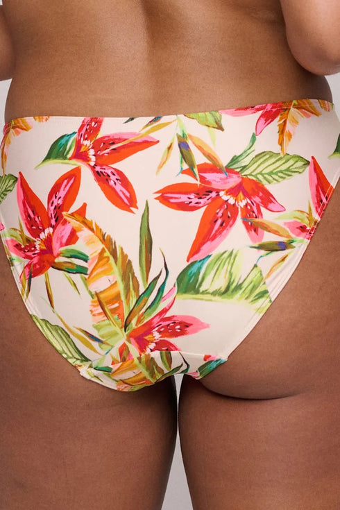 PrimaDonna Tanzania Bikini Briefs Rio
